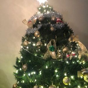 Meet your Posher, Dora